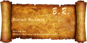 Borsó Roland névjegykártya